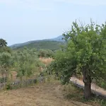 Gaia Messinian Σπίτι διακοπών